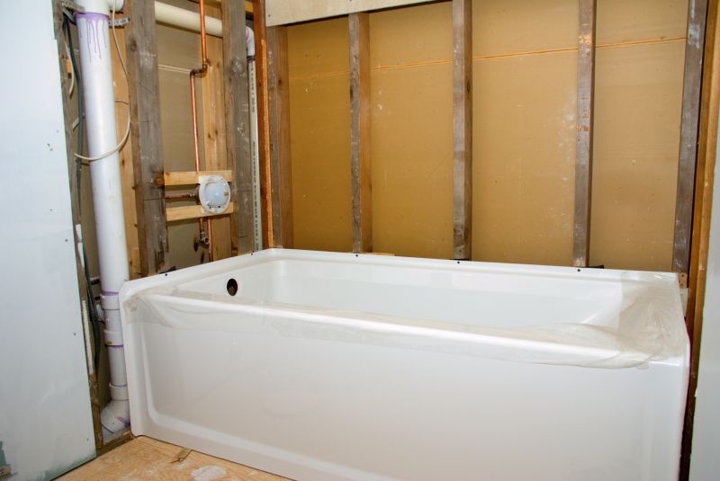 Bathroom Renovation Options